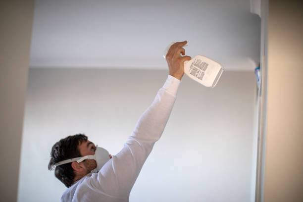 Reliable Hayfork, CA Mold Removal Solutions
