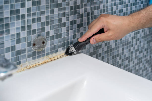 Best Best Mold Removal Companies  in Hayfork, CA